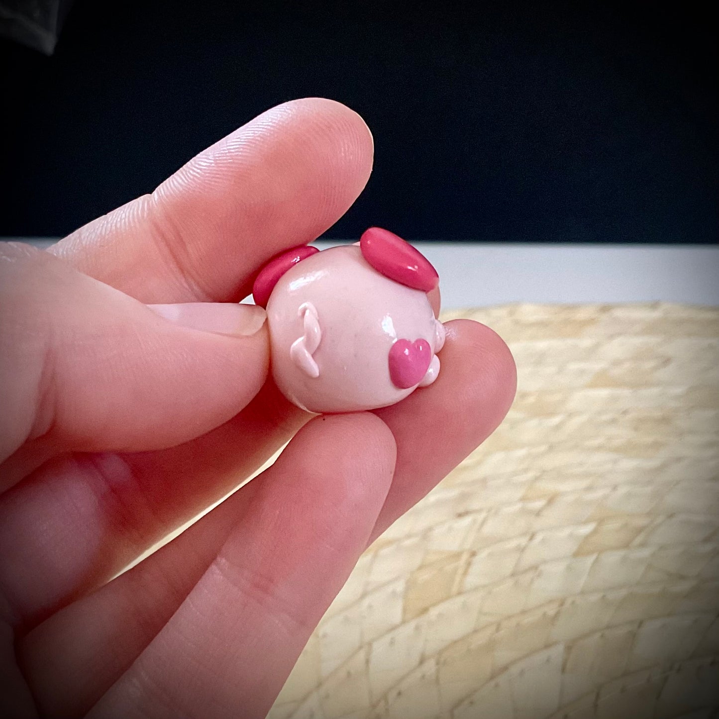 Mini Pig